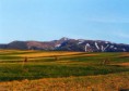 /album/fotogaleria/brestova1-jpg/